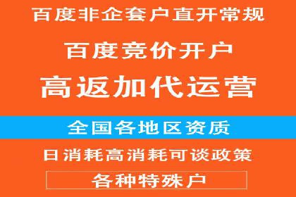 某电商平台的成功案例：信息流优化师的策略与成果