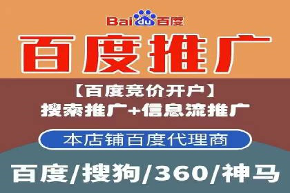 SEM推广策略如何制定——以某电商平台的成功案例为例